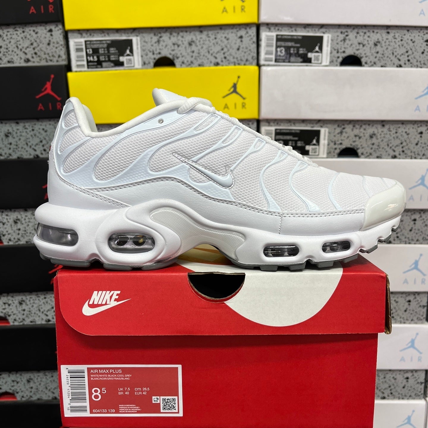 Nike air max TN
